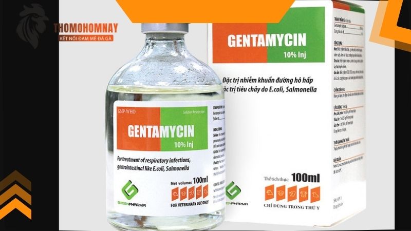 Phòng sưng cụm bàn chân cho chiến kê