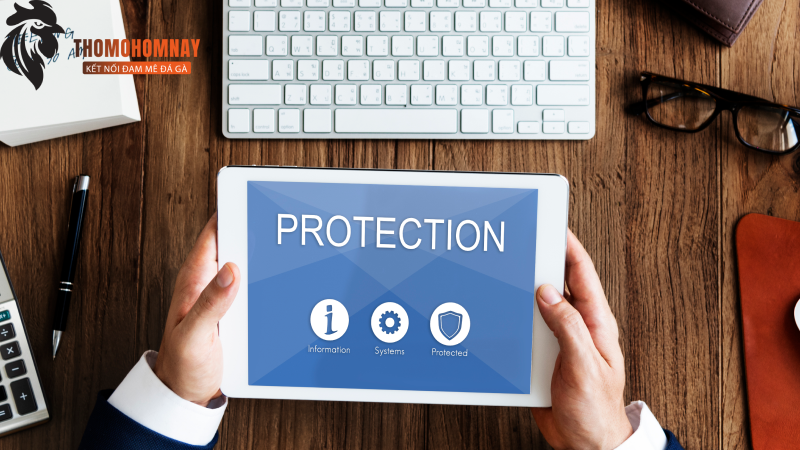 Chính sách bảo mật thông tin của Thomodagahomnay được tối ưu cẩn thận