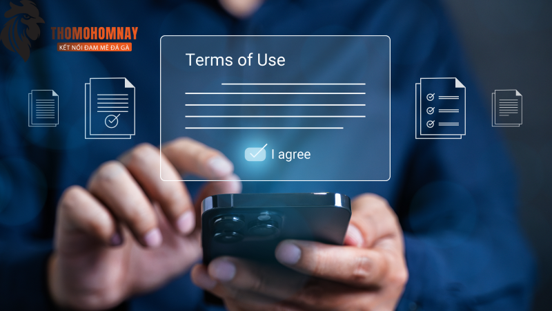Đội ngũ Thomodagahomnay bảo lưu các quyền quan trọng