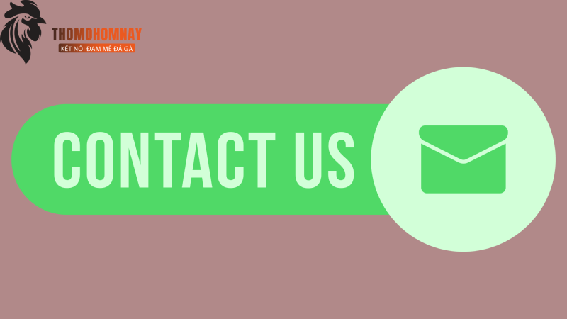Hãy liên hệ ngay với Thomodagahomnay khi cần nhé